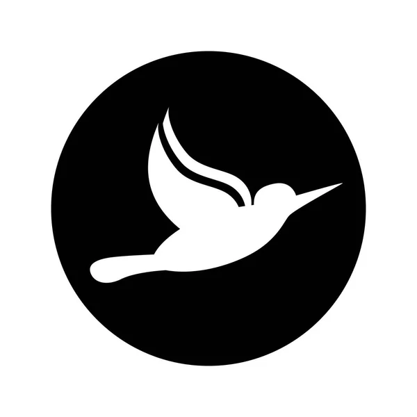 Drăguț pasăre izolat icon — Vector de stoc