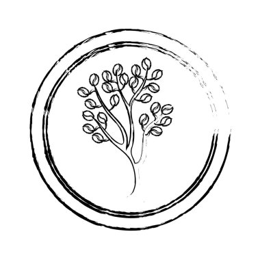 lezzetli kahve çekirdeği simgesi