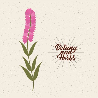 botanik ve otlar tasarım