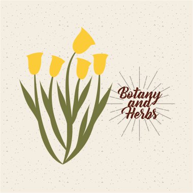 botanik ve otlar tasarım