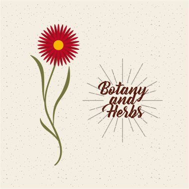 botanik ve otlar tasarım