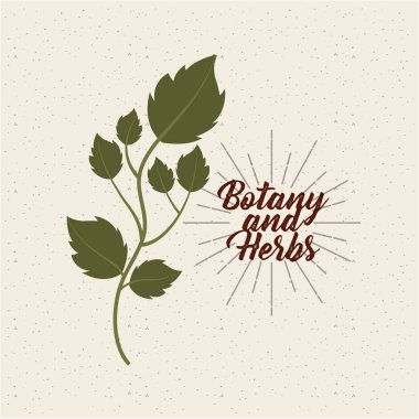 botanik ve otlar tasarım