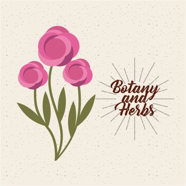 botanik ve otlar tasarım