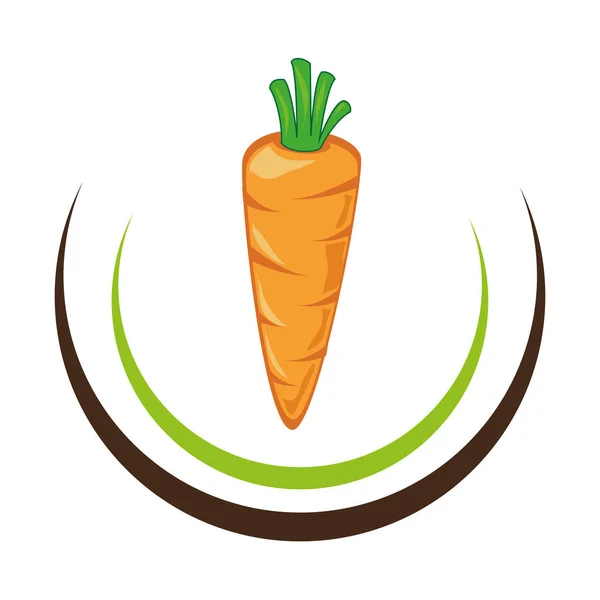 Čerstvé zeleniny zdravé jídlo — Stockový vektor