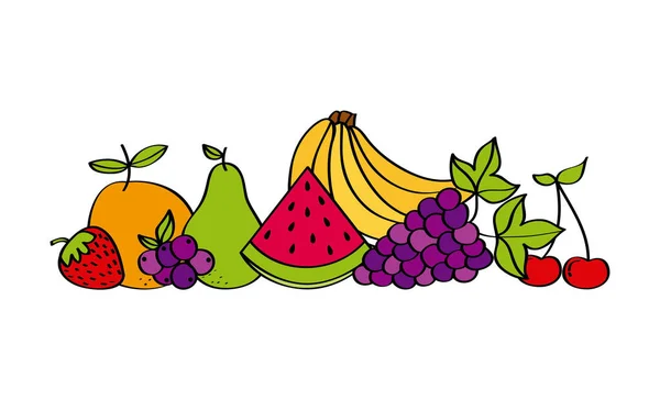 Frutos naturais e frescos — Vetor de Stock