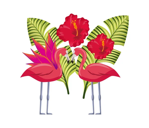 Trópusi virágok design — Stock Vector