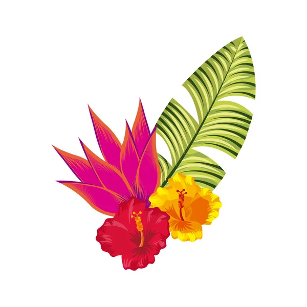 Tropické květiny design — Stockový vektor
