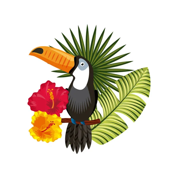 Trópusi virágok design — Stock Vector