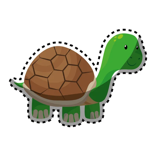 Cute turtle pet isolated icon — Stock Vector