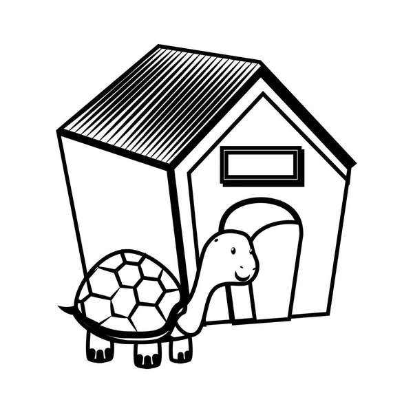 Lindo tortuga mascota aislado icono — Archivo Imágenes Vectoriales