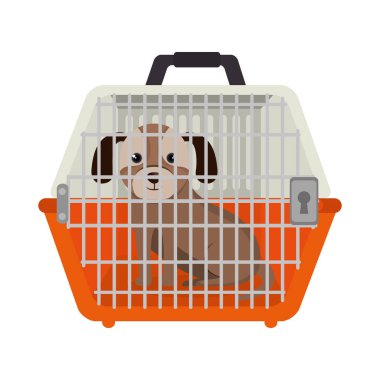 sevimli köpek evde beslenen hayvan simgesi