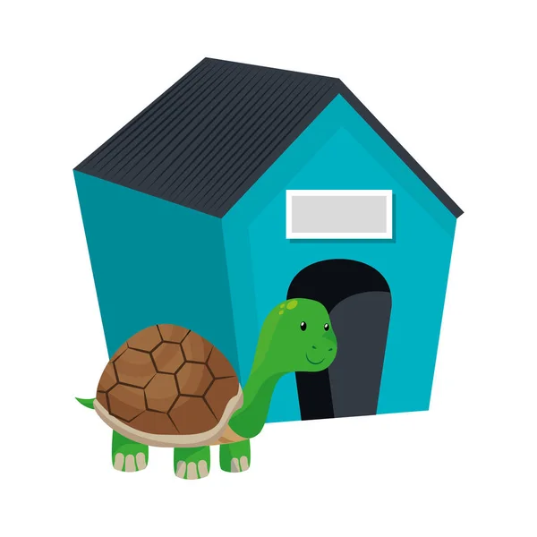 Cute turtle pet isolated icon — Stock Vector