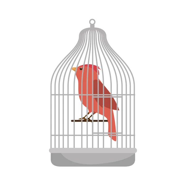 Schattige vogel in kooi mascotte — Stockvector