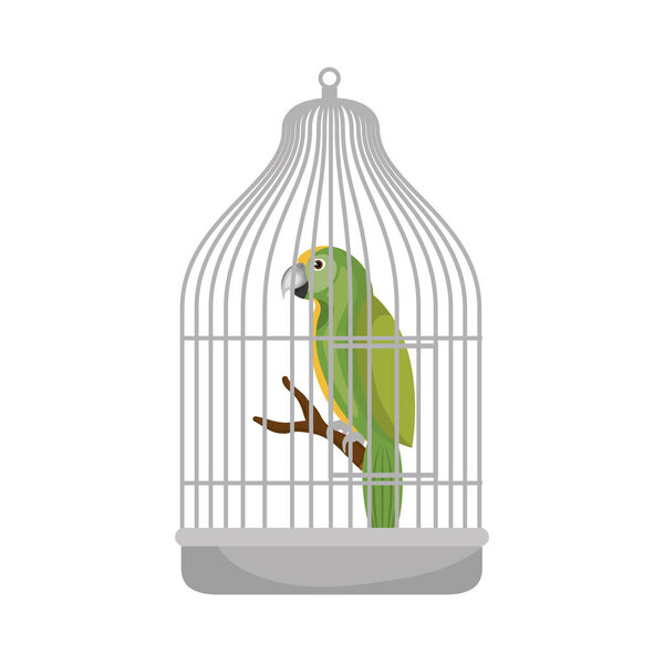 cute bird parrot in cage mascot