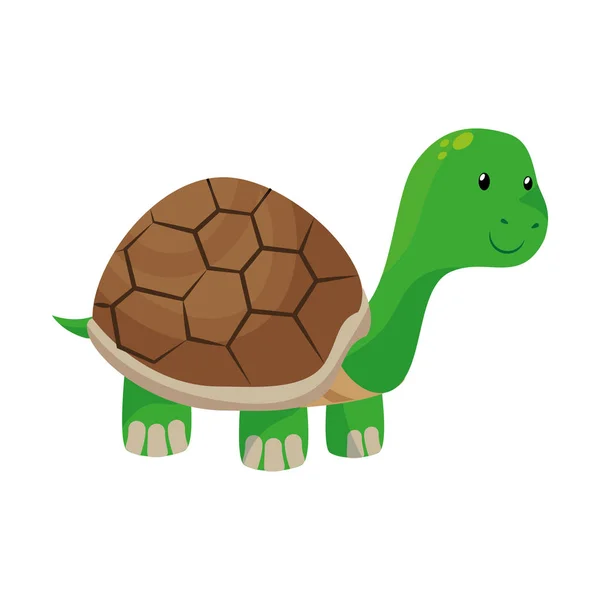 Lindo tortuga mascota aislado icono — Vector de stock