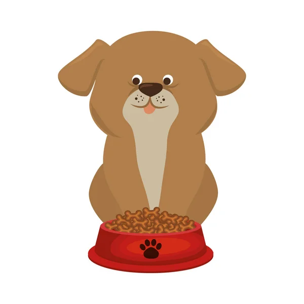 Lindo perro mascota icono — Archivo Imágenes Vectoriales