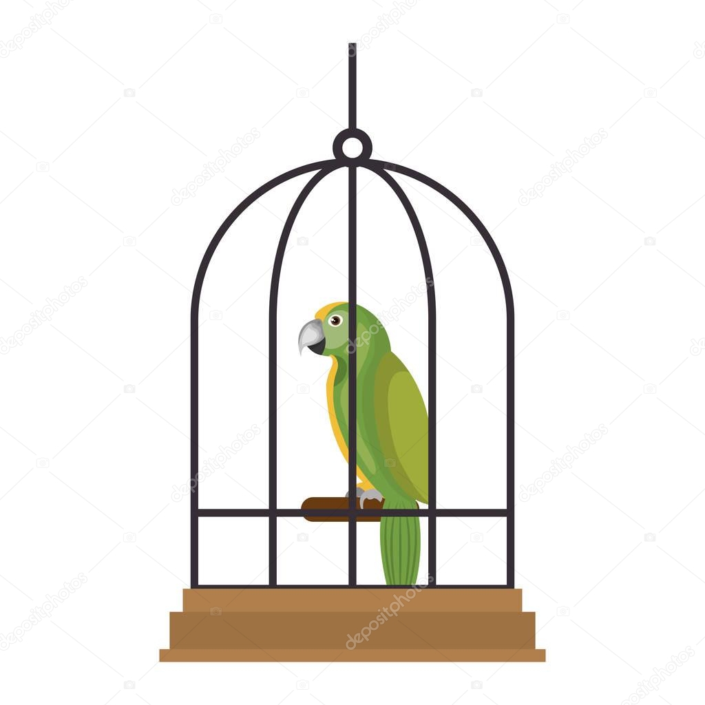 cute bird parrot in cage mascot