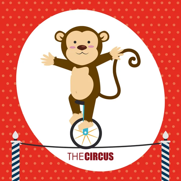 Circus ontwerp over rode achtergrond vector illustratie — Stockvector