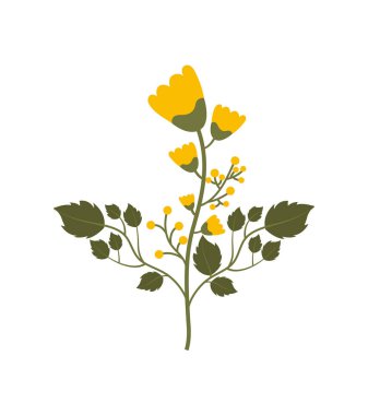 güzel çiçek tasarımı