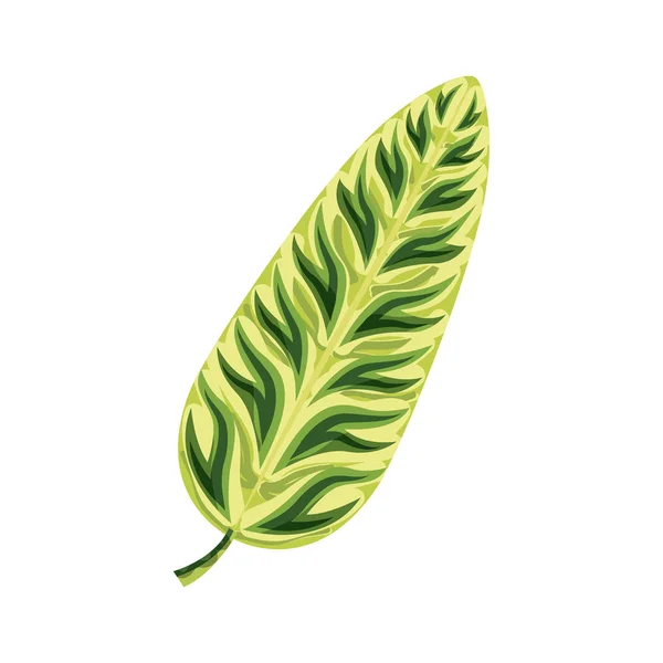 Icono de hoja tropical — Vector de stock