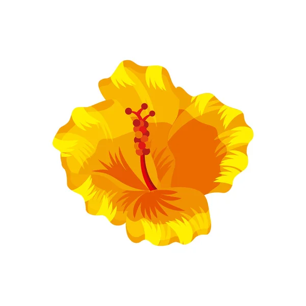 Tropische Blume — Stockvektor