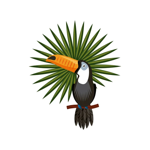 Toucan and tropical leaf — Stock Vector