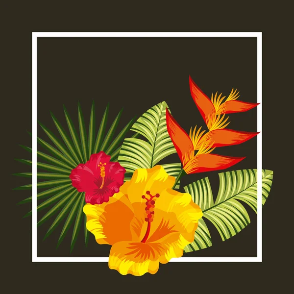 Diseño de flores tropicales — Vector de stock