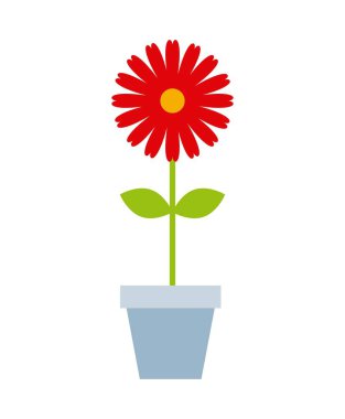 güzel çiçek tasarımı