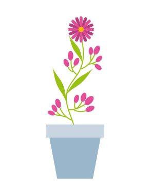 güzel çiçek tasarımı