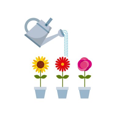 güzel çiçek tasarımı