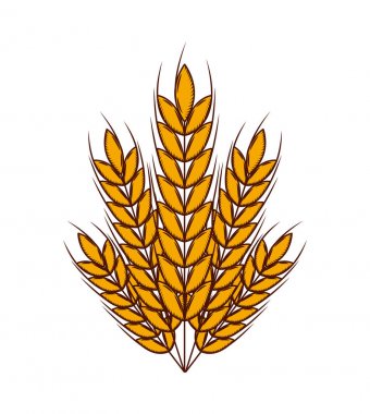 buğday kulağı simgesi