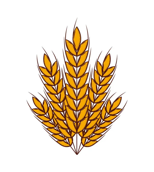 Пшениця вуха значок — стоковий вектор