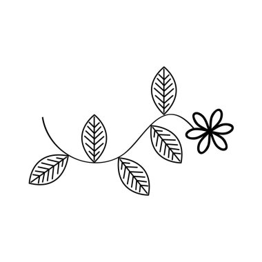 güzel çiçek tasarımı