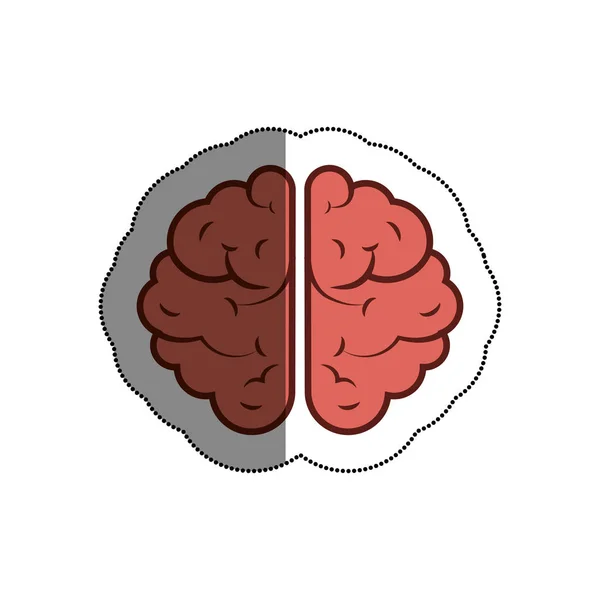 脑人类孤立的图标 — 图库矢量图片