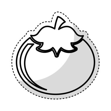 taze domates izole simgesi