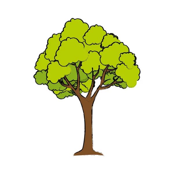 Árbol planta aislado icono — Vector de stock