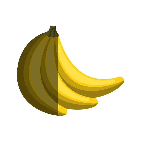 Banana tropical fruit isolated icon — Stock Vector