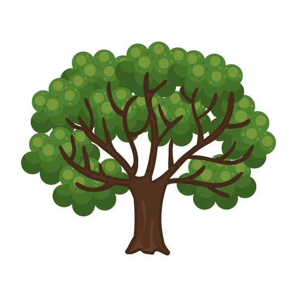 Ikon pohon terisolasi - Stok Vektor