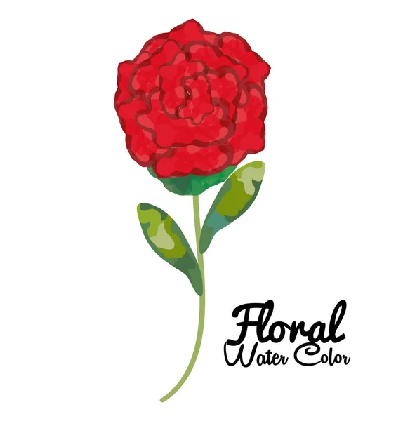 Decoração de cor de água floral —  Vetores de Stock