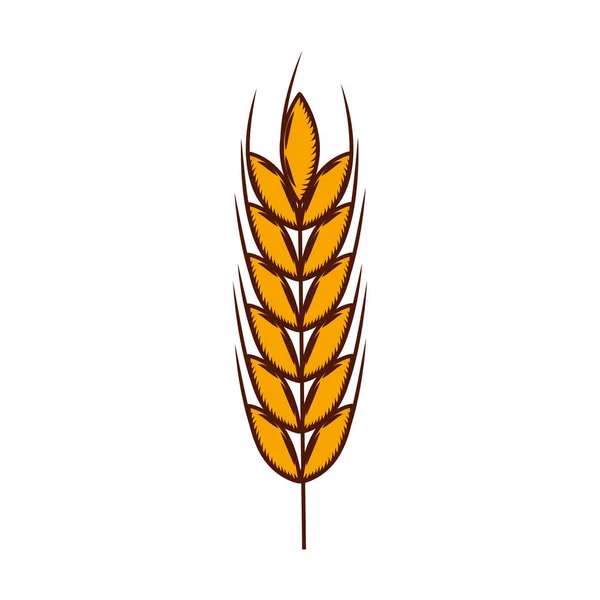 小麦穗孤立的图标 — 图库矢量图片