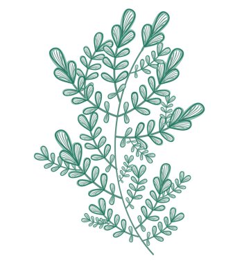 su renkli dekorasyon yapraklar