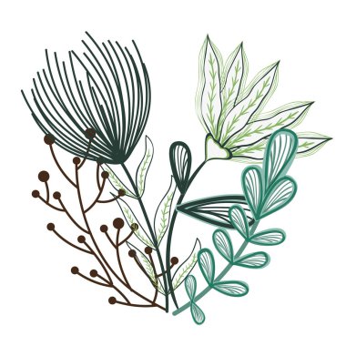 çiçek su renkli dekorasyon