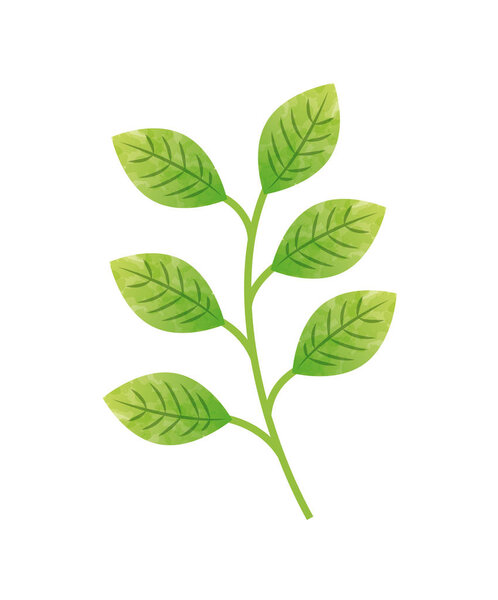 green leaves icon