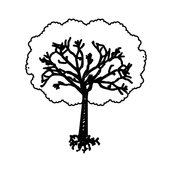 Ikona na białym tle roślina drzewo — Wektor stockowy
