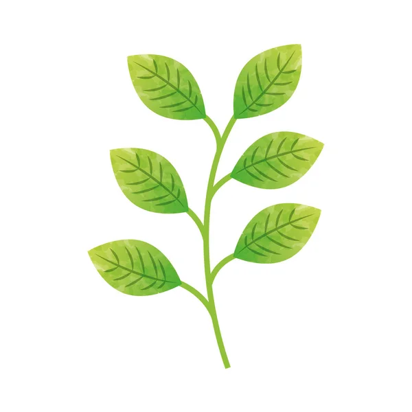 Planta de hojas icono aislado decorativo — Vector de stock