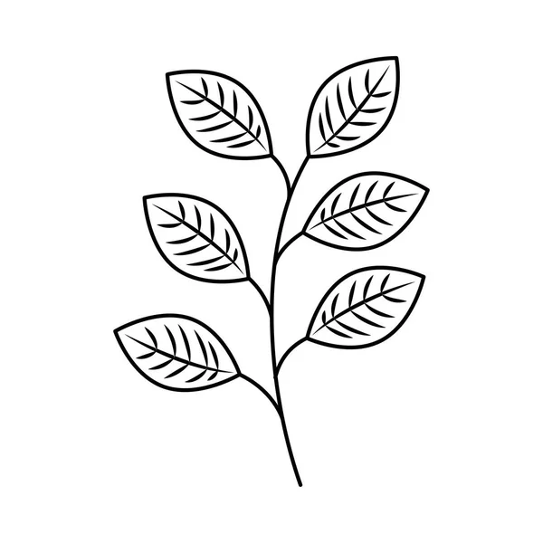 Feuille plante icône isolée décorative — Image vectorielle