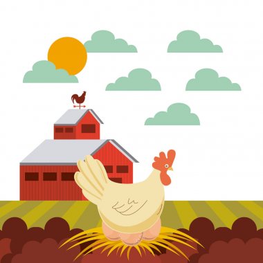 çiftlik ahırı tasarımı