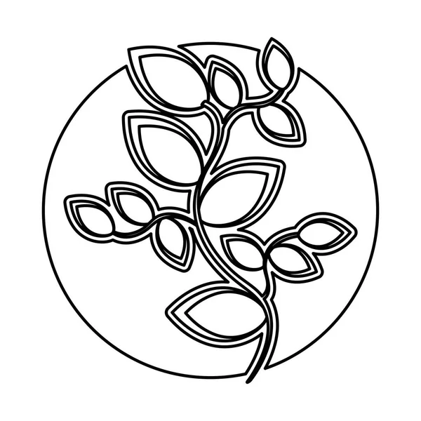 Leafs ikona na białym tle roślina — Wektor stockowy