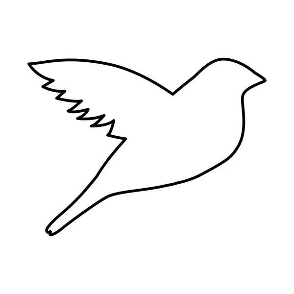 Silhueta de pássaro ícone isolado — Vetor de Stock