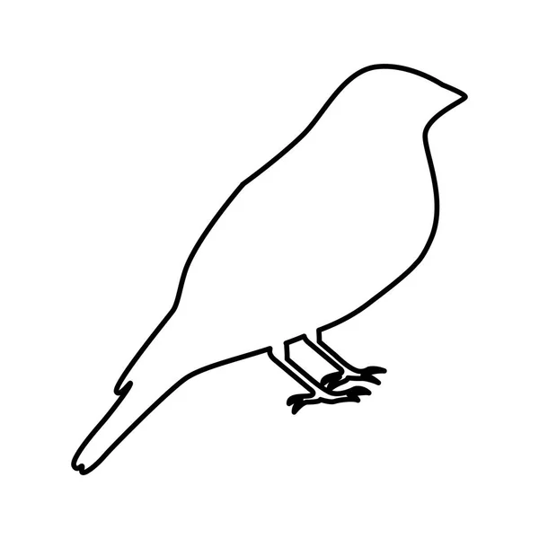 Silhueta de pássaro ícone isolado —  Vetores de Stock